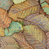 Leaf Patterns 4