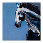 Horse With Blue