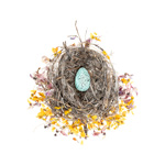 Bird Nest 29