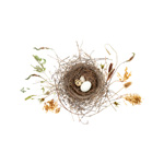Bird Nest 20