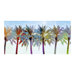Palm Variations