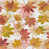 Leaf Patterns 1