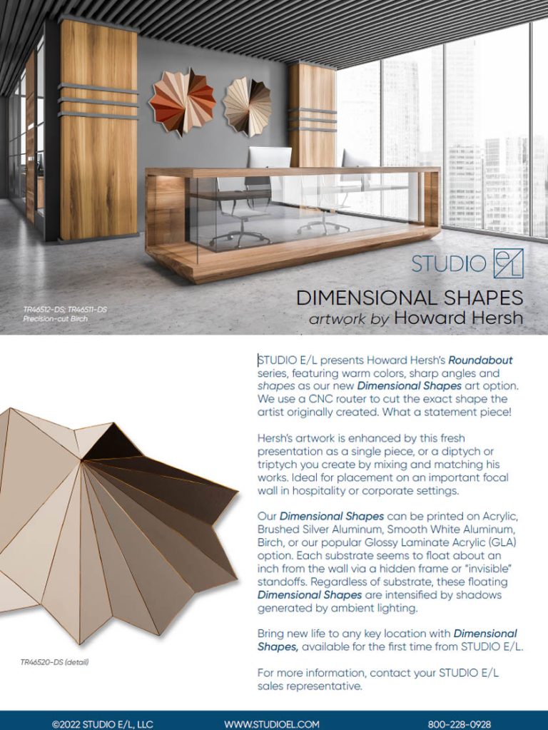 Dimensional Shapes Flyers – Hersh & Wolff cover