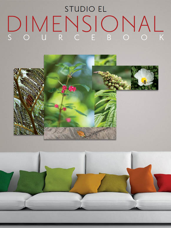 Dimensional Sourcebook – Studio E/L Exclusive cover