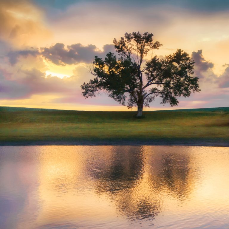 Summer Evening