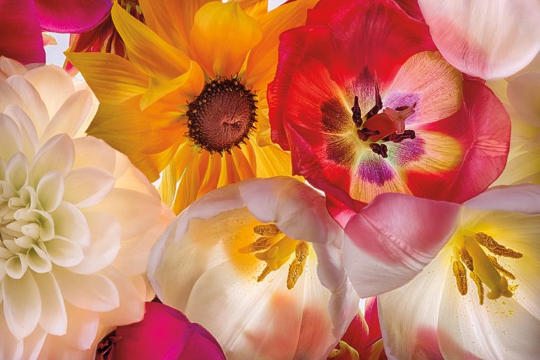 When Flowers Talk