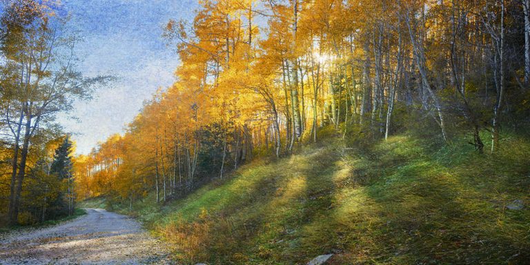 Shadow Mtn Road
