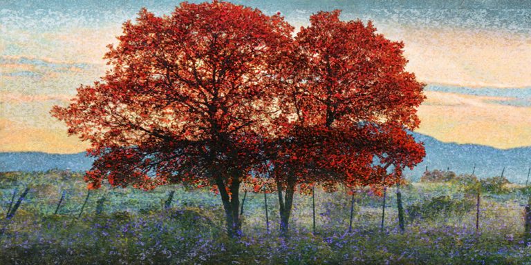Twin Oaks