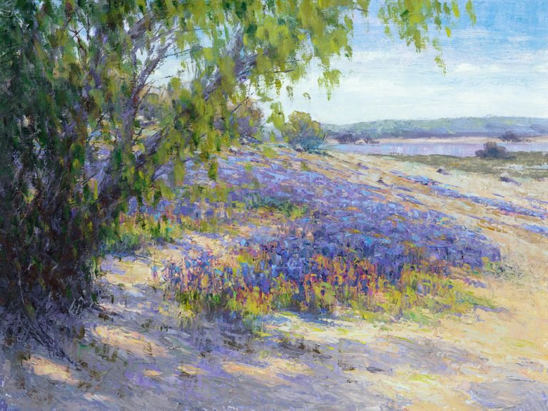 Folsom Lupine Meadow
