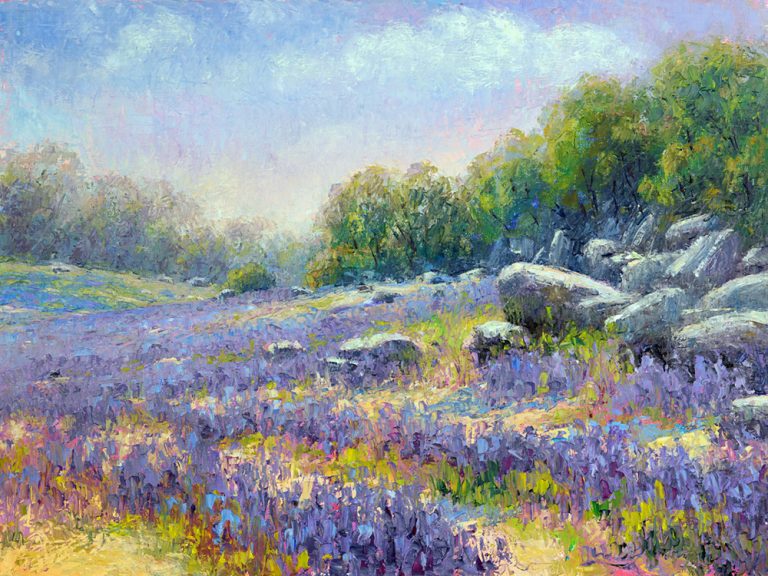 Folsom Lupine Bloom