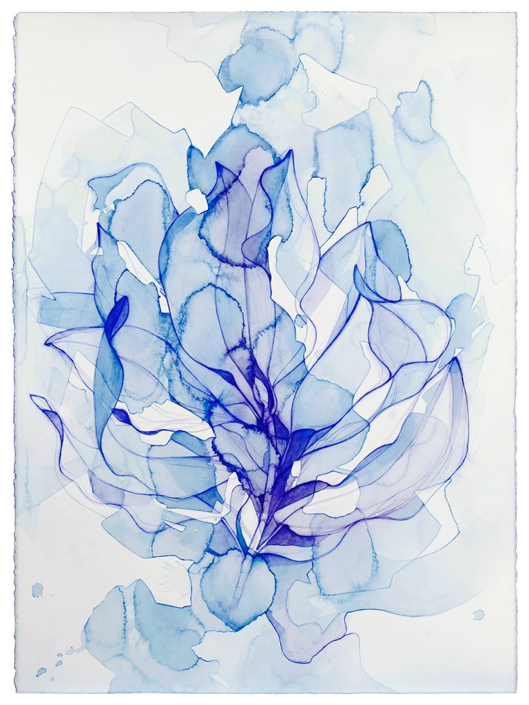 Magnolia