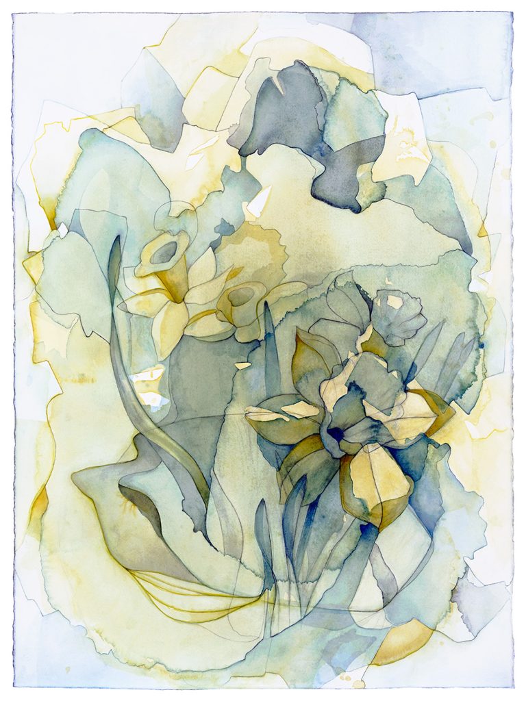 Narcissus
