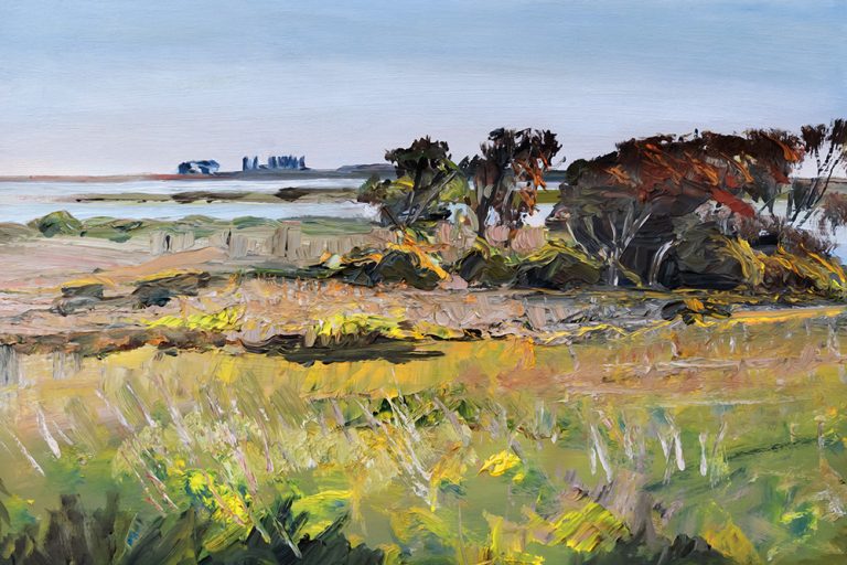 View From Rat Island