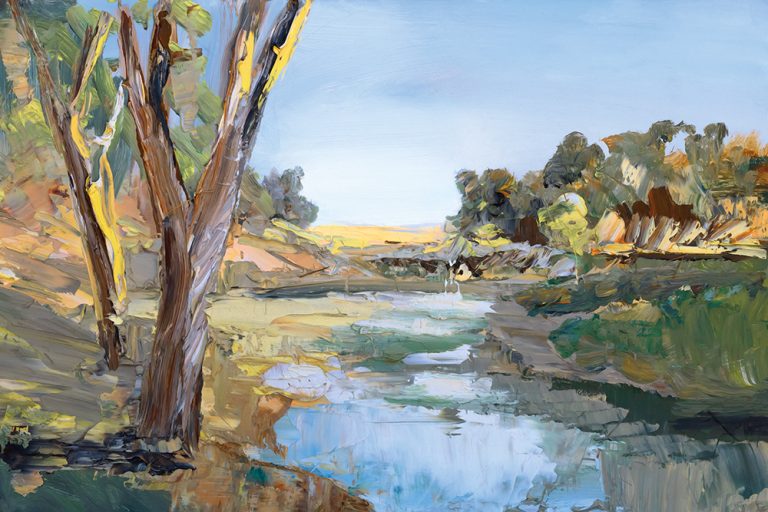 The Duck Pond