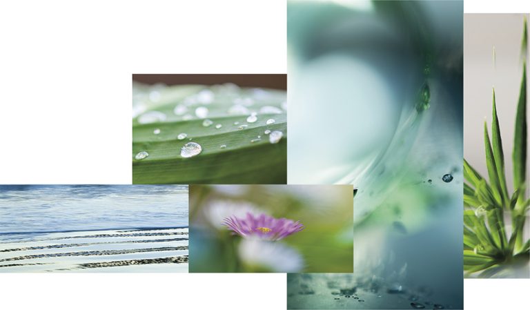 Zen Landscape 165