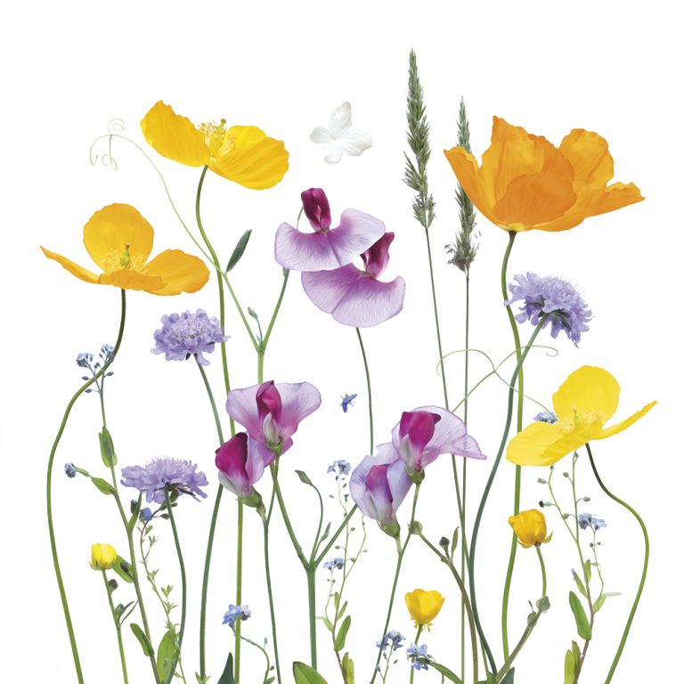 Floral Garden