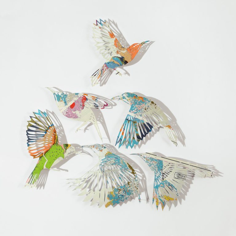 We Are The Sunbirds