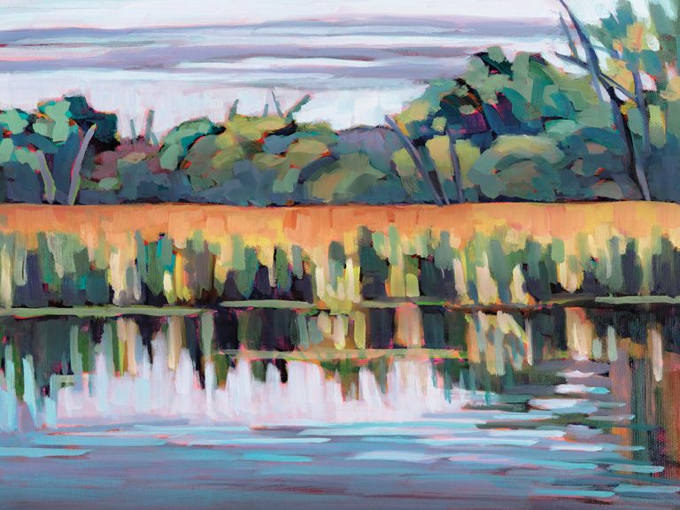 Madison Reflections