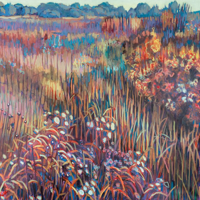 Middlefork Prairie