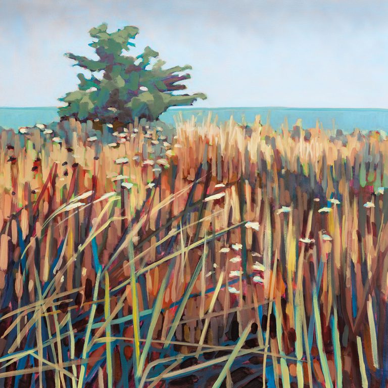 Small Prairie
