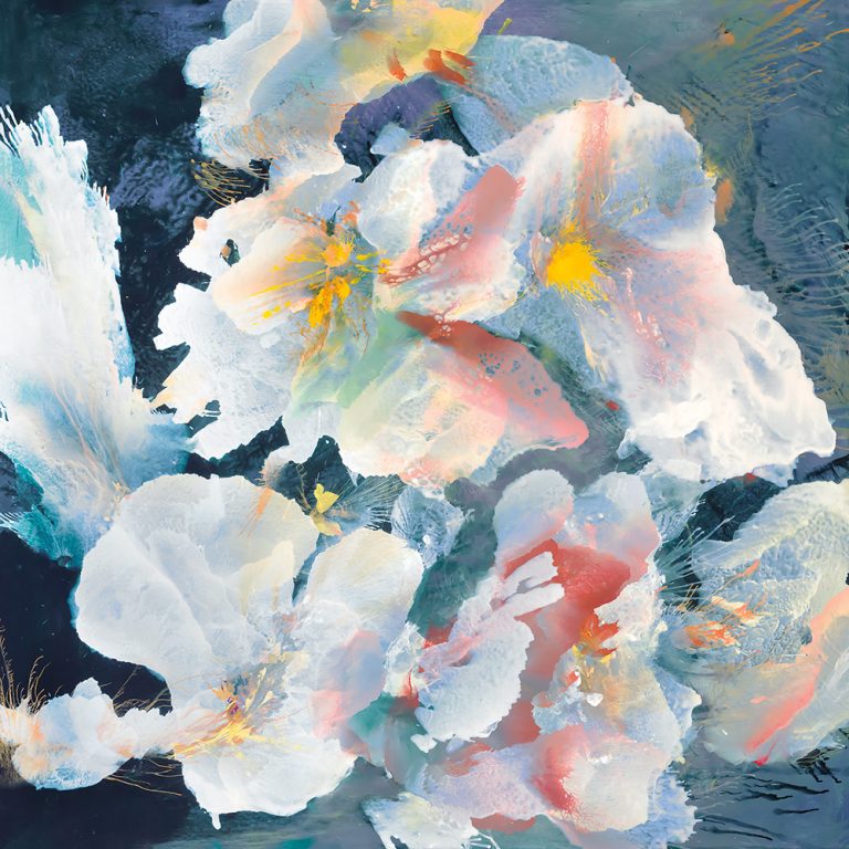 White Swan Daisy