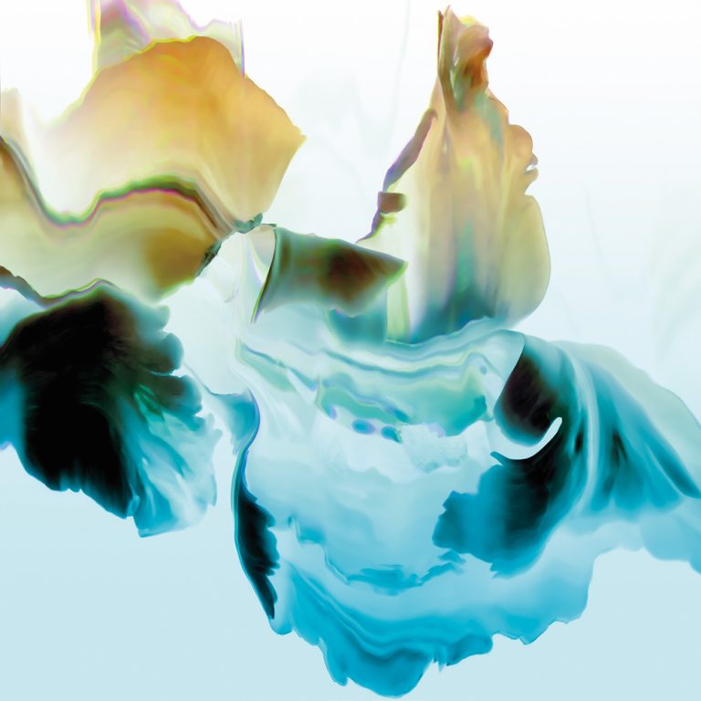 Flying Tulip