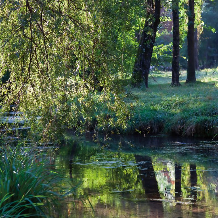 Brissac 3