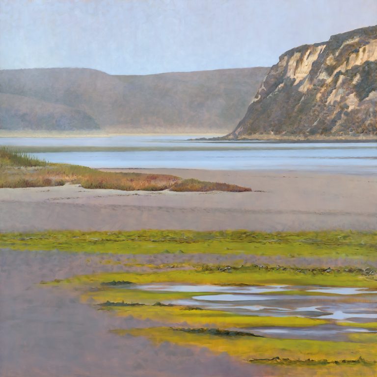 Limantour Estero No 4