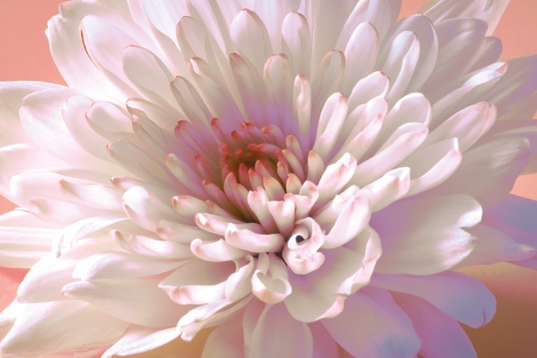 Mum 9