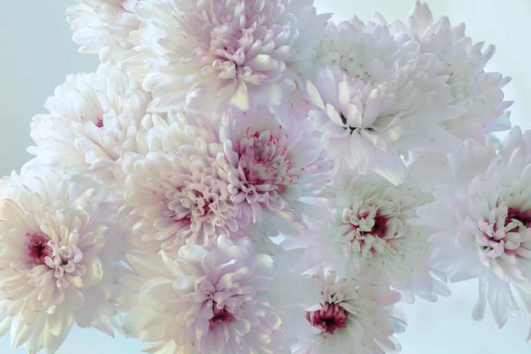 Mum 7