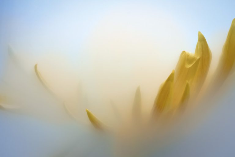 Mum 6