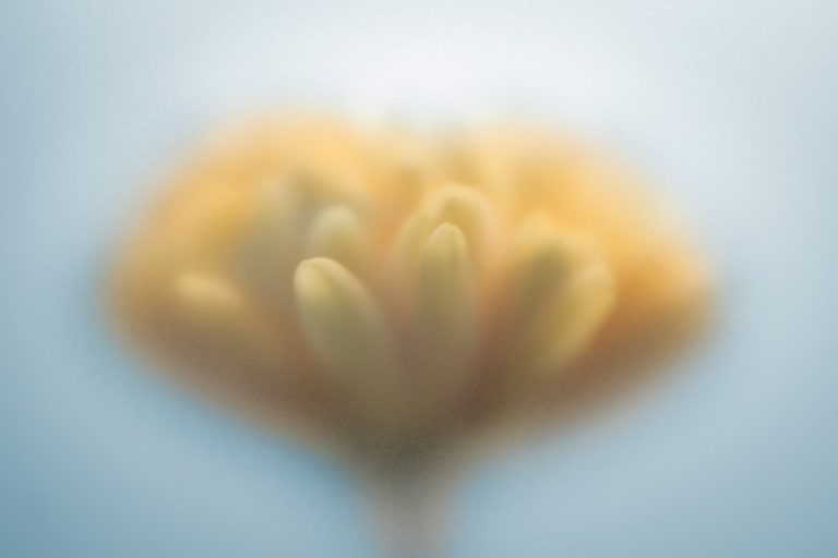 Mum 5