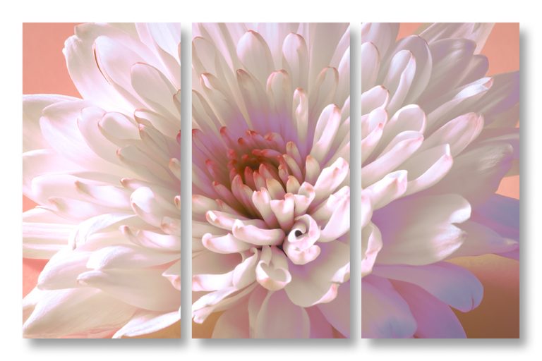 Mum 9 Triptych