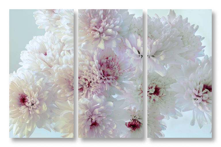 Mum 7 Triptych