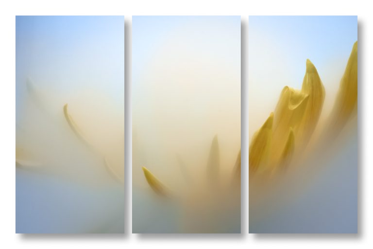Mum 6 Triptych