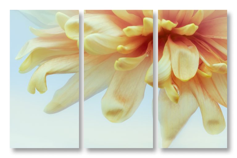 Mum 3 Triptych