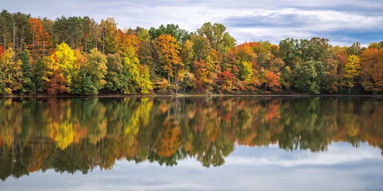 Autumn Reflections