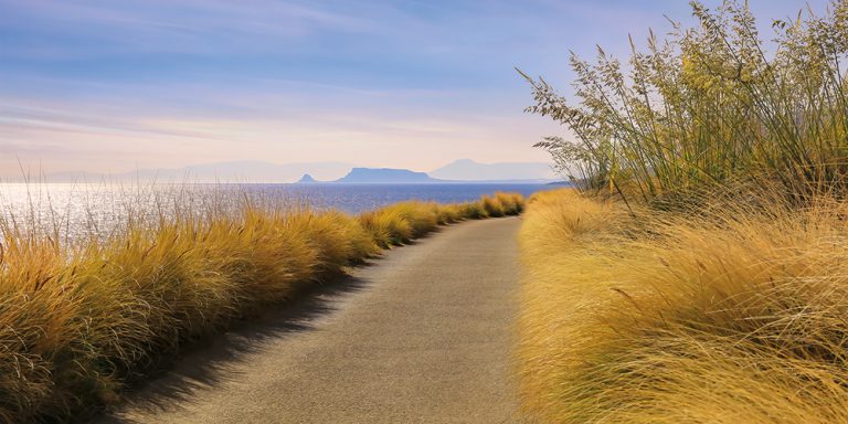 Nature Reserve