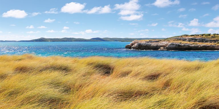 Inlet Grasses