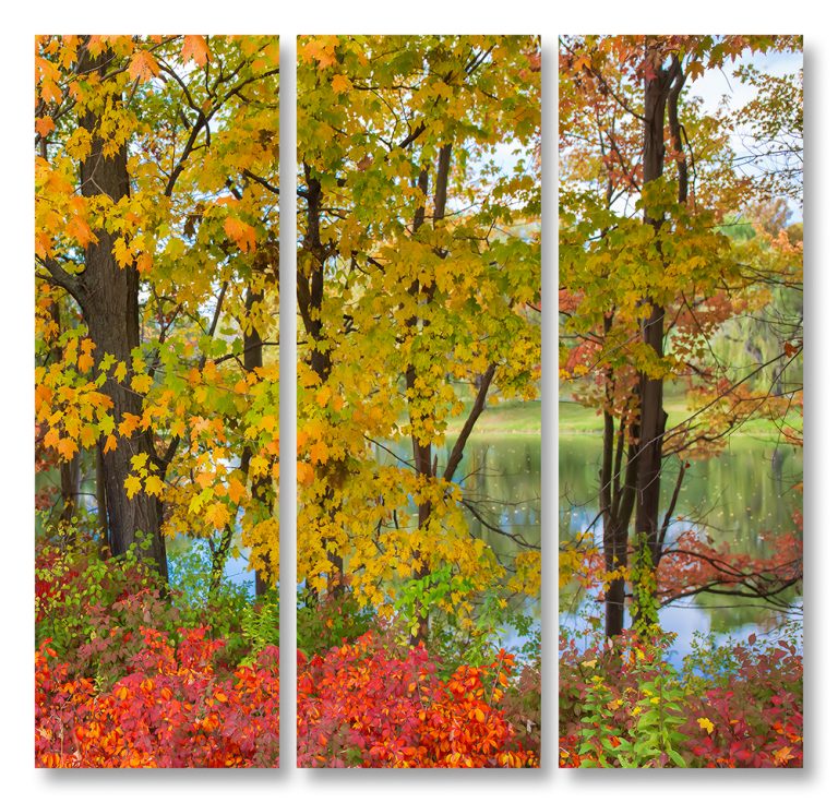 Color by the Pond Triptych