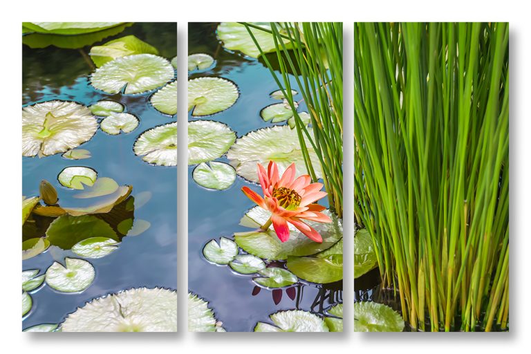 Water Lilies and Grasses Triptych