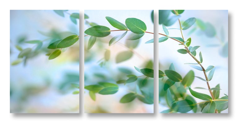 Soft Breeze triptych