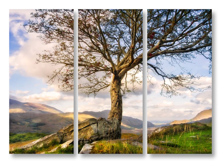 Overlook 1 triptych