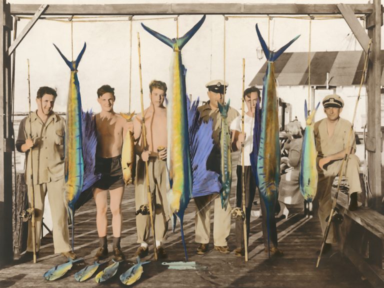 Fishing