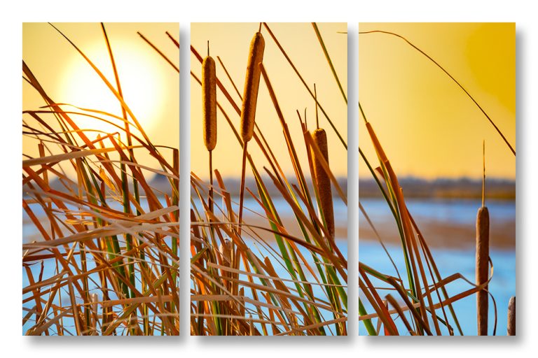 Near Sundown Triptych