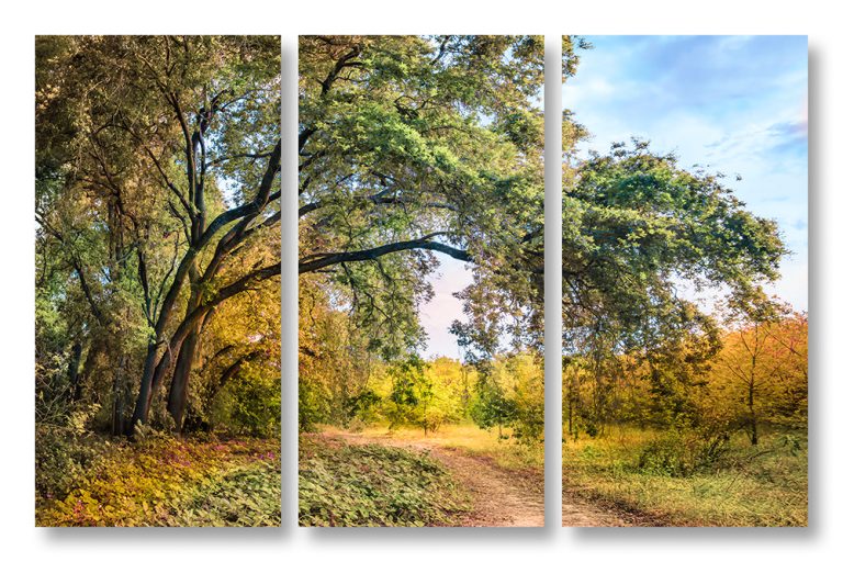 Woodland Path Triptych
