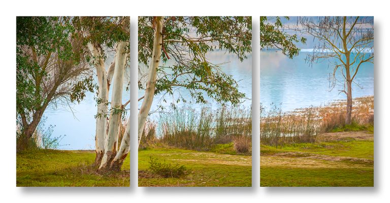Lake Park Triptych