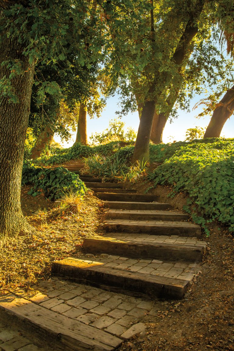 Steps 2