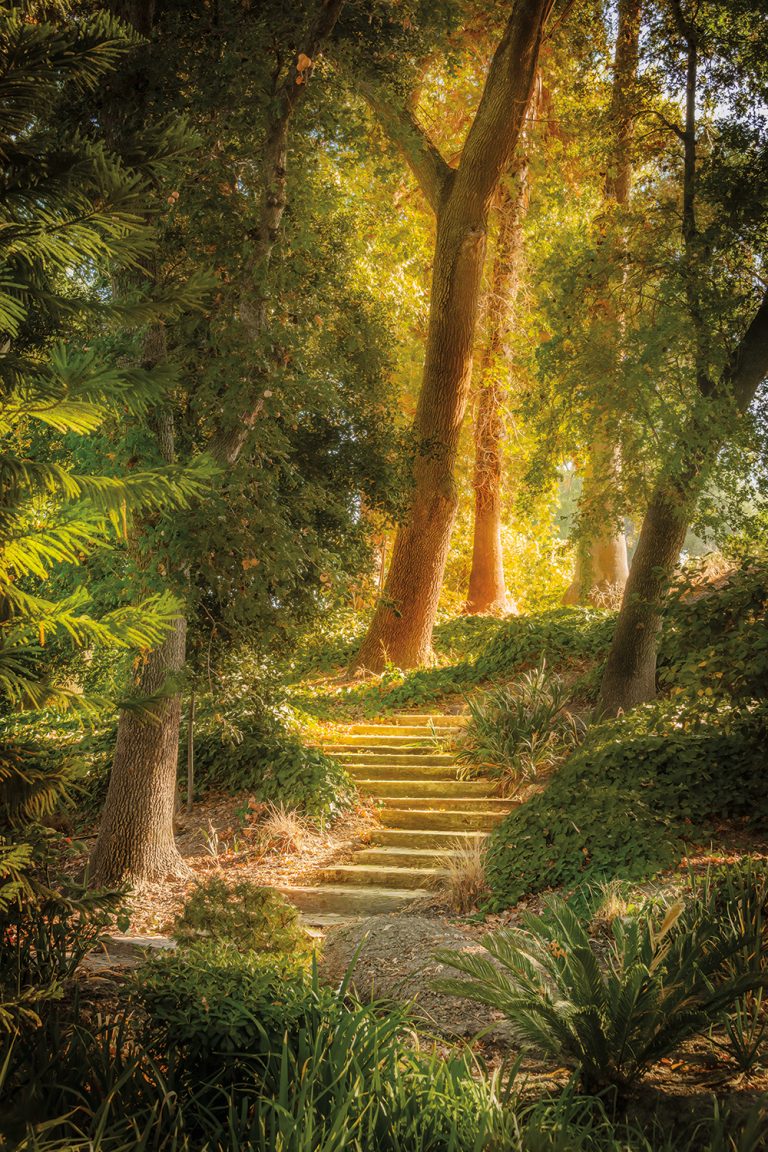 Steps 1