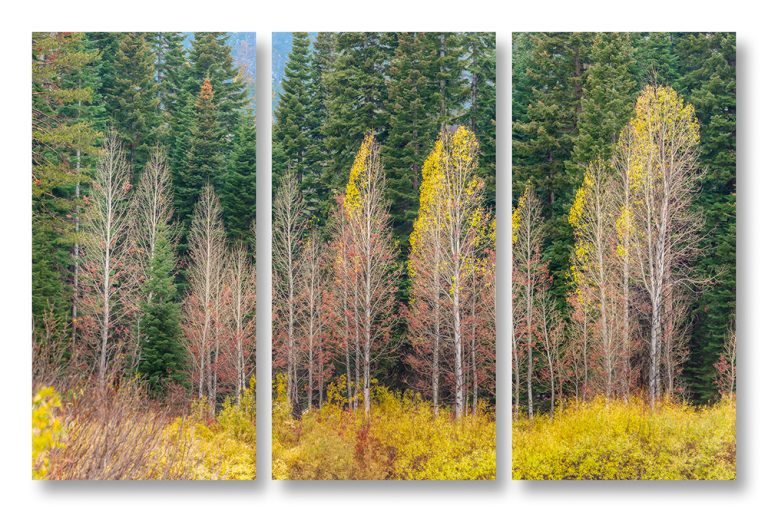 The Turning Triptych